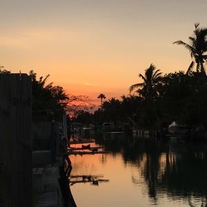 Meet your Posher, Domingas